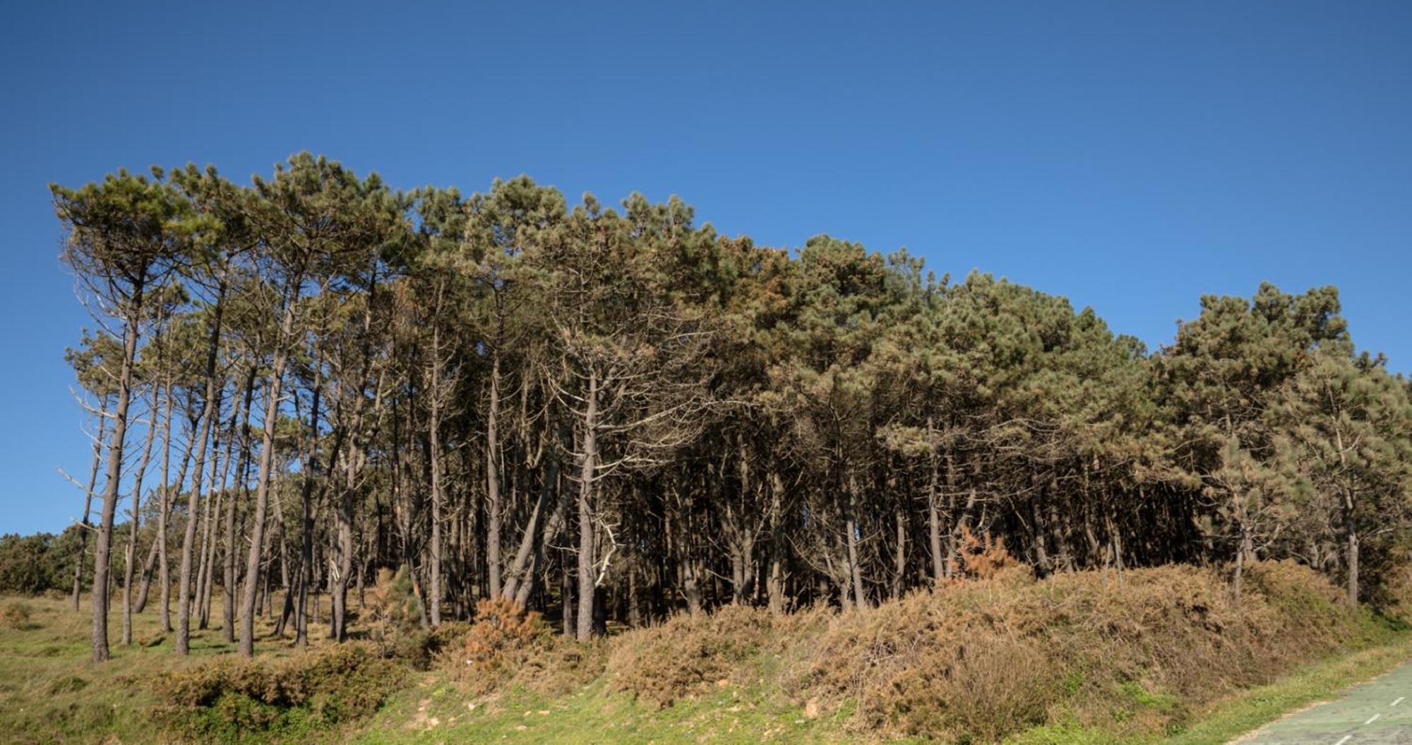 Doninos Nature Eksteriør bilde